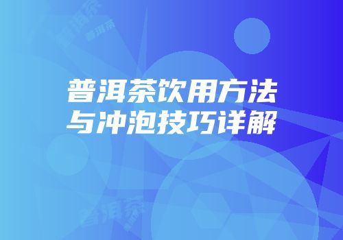 普洱茶饮用方法与冲泡技巧详解