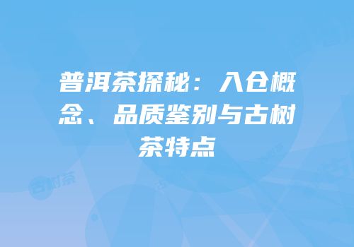 普洱茶探秘：入仓概念、品质鉴别与古树茶特点