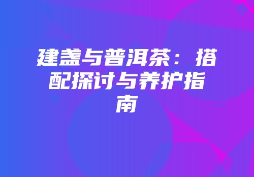 建盏与普洱茶：搭配探讨与养护指南
