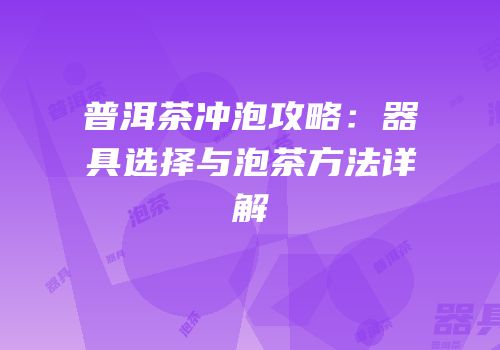 普洱茶冲泡攻略：器具选择与泡茶方法详解
