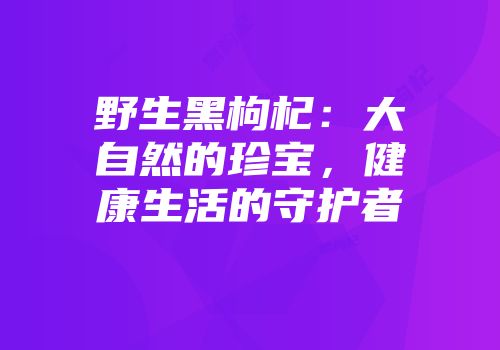 野生黑枸杞：大自然的珍宝，健康生活的守护者