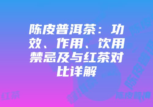 陈皮普洱茶：功效、作用、饮用禁忌及与红茶对比详解