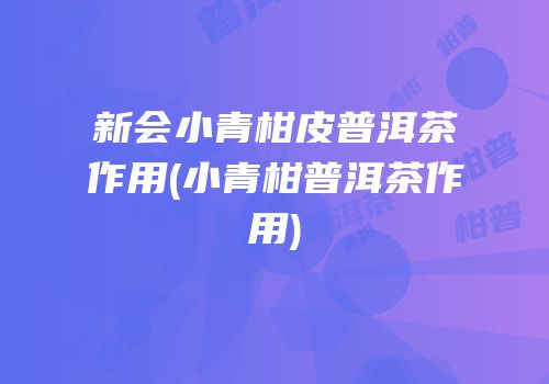 新会小青柑皮普洱茶作用(小青柑普洱茶作用)