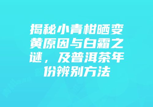 揭秘小青柑晒变黄原因与白霜之谜，及普洱茶年份辨别方法