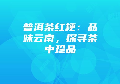 普洱茶红梗：品味云南，探寻茶中珍品